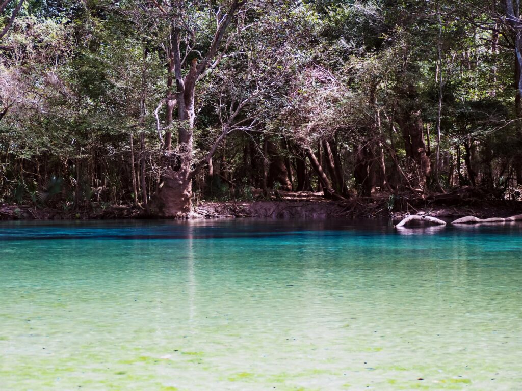 Cypress Springs is considered one of the most beautiful springs in Northwest Florida.