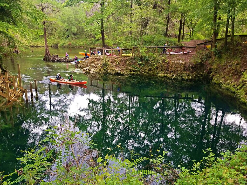 Madison Blue Springs bubbles up into a limestone basin along the Withlacoochee River.